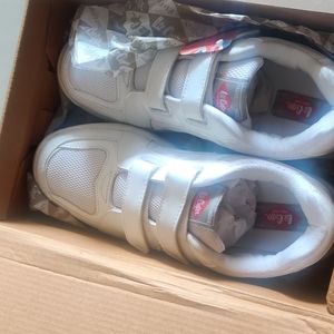 Shoe